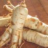Ginseng root